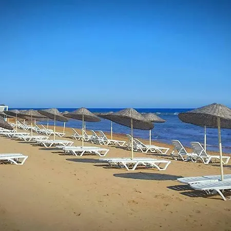 Thalassabeach *