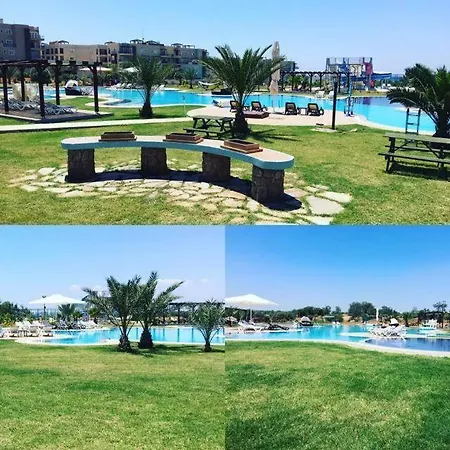 Thalassabeach Vokolidha